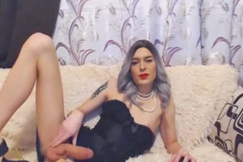 filthy White sheboy Strokes On Her monstrous Hard dick