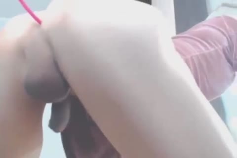 admirable ladyboy