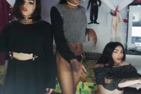 Three teens ladyboys Playing On cam