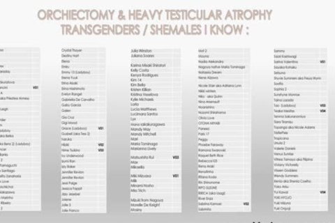 Orchiectomy shemale Porn Stars V5 ( Castrated, No Balls )