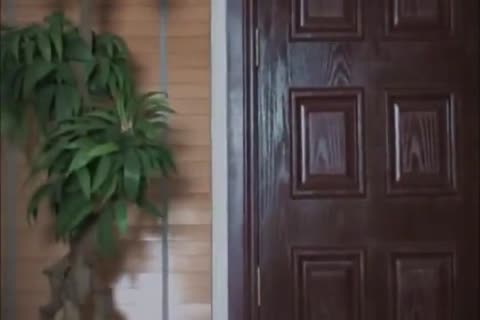 nail The Plumber