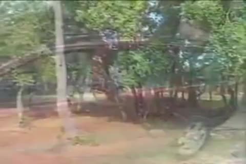 fine Ladyboys Sucks And Sexs outside