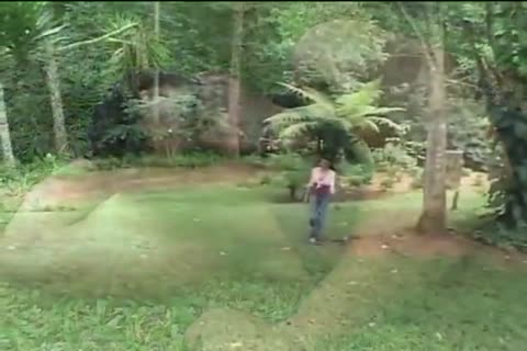 lalin girl Ts Acquires Her anal Nailed