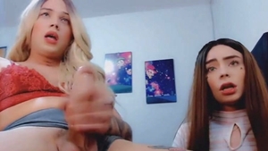 Trans Sucked big Hard dong