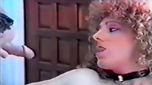 1977 Vintage shemale Porn Classic