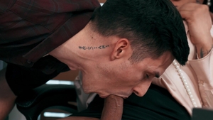 Trans Angels: Curvy Librarian's Stockinged Seduction